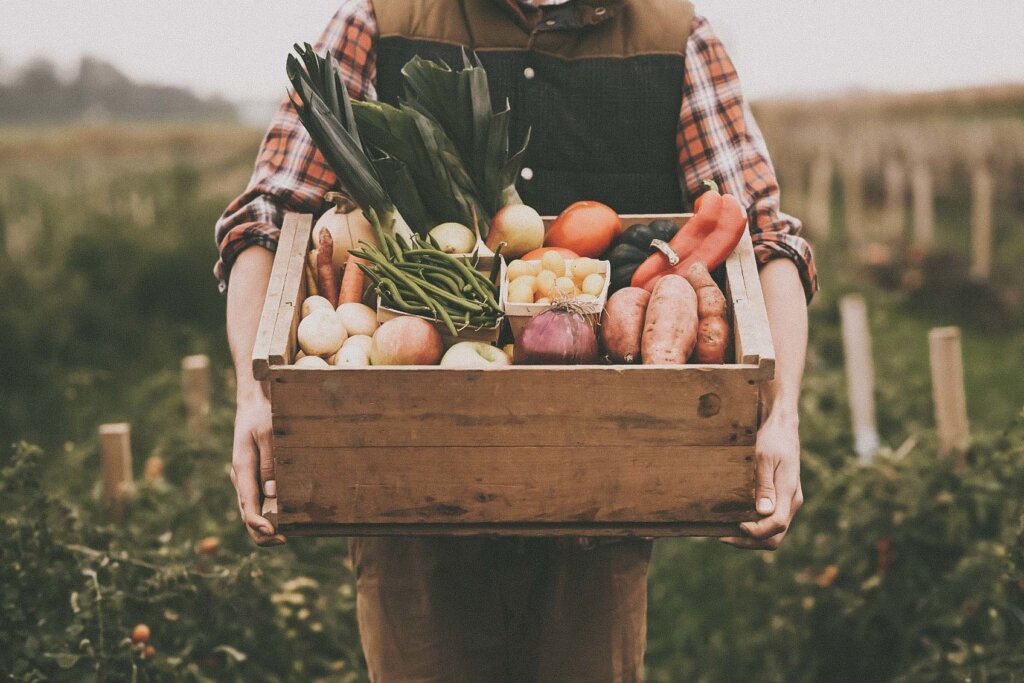 fresh nutritional produce